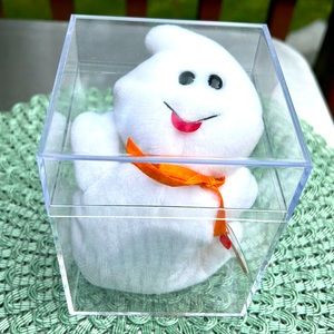 Ty Retired “Spooky”Beanie Baby in display case, tags in tag protector. Perfect